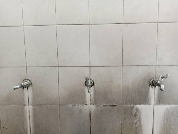 Best Water damage restoration specialists  in Calumet City, IL