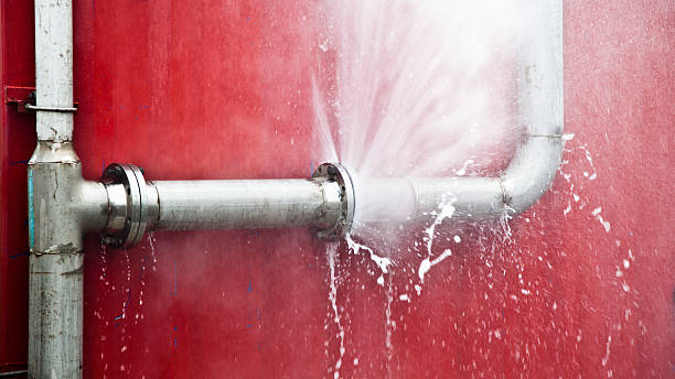 Best Carpet water damage restoration  in Calumet City, IL