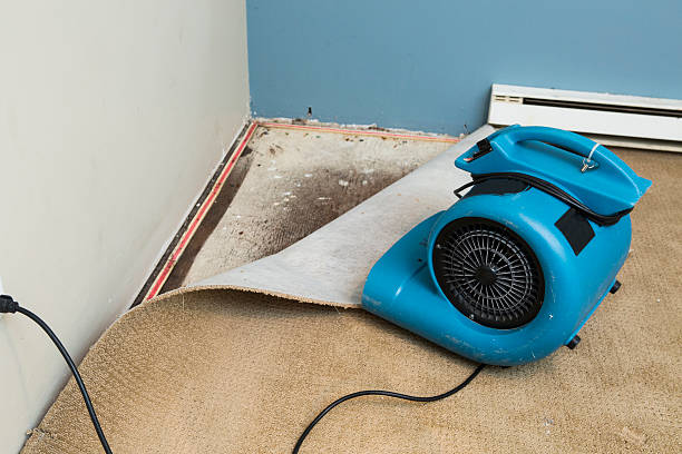 Local water damage restoration in Calumet City, IL